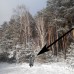 Плащ-намет з люверсами камуфляж лісу. Дощовик пончо для військових, плащ-намет тактичний лісовий камуфляж - Купити